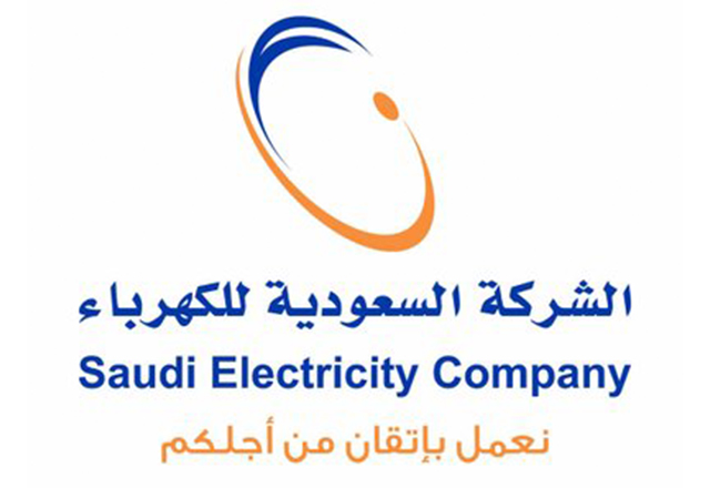 Manpower provision project for the Saudi Electricity Company