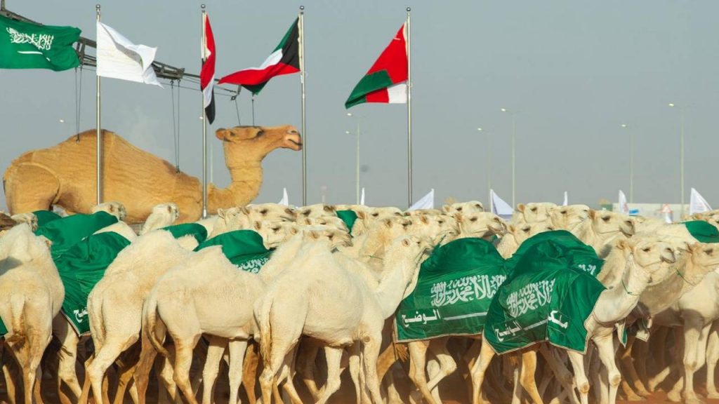 Project to Maintain, Clean and Operate King Abdel Aziz Camel Festival - Fifth Edition